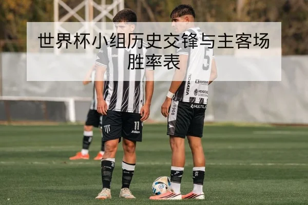 世界杯小组历史交锋与主客场胜率表
